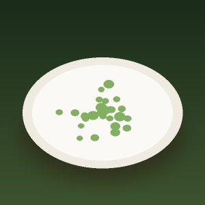 ماست و خیار
