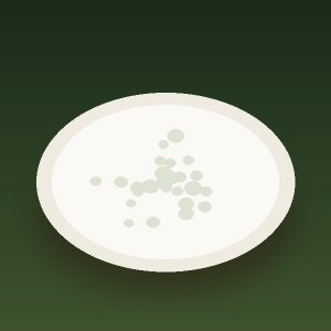 ماست موسیر